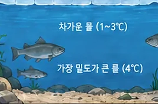 학습 그림 미리보기