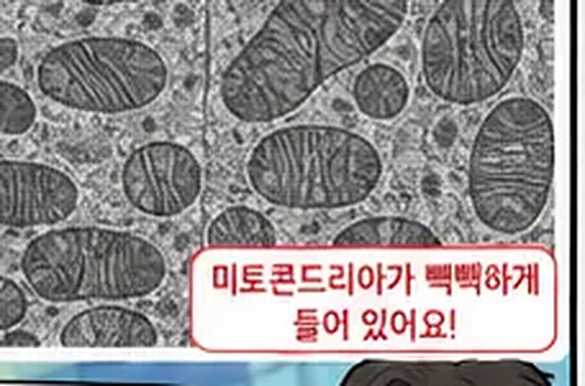 학습 그림 미리보기