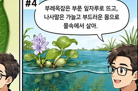 학습 그림 미리보기