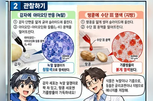 학습 그림 미리보기